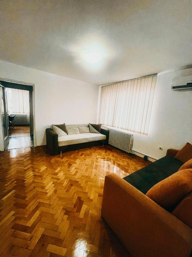 Ultracentral Big Apartment - Near The Opera Square P17 Timisoara Exterior foto