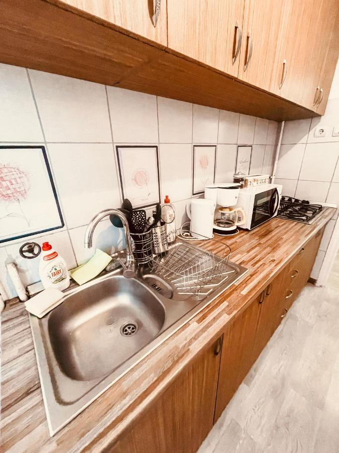 Ultracentral Big Apartment - Near The Opera Square P17 Timisoara Exterior foto