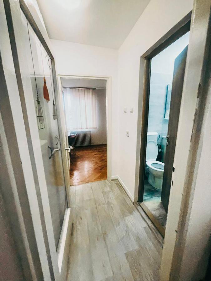 Ultracentral Big Apartment - Near The Opera Square P17 Timisoara Exterior foto